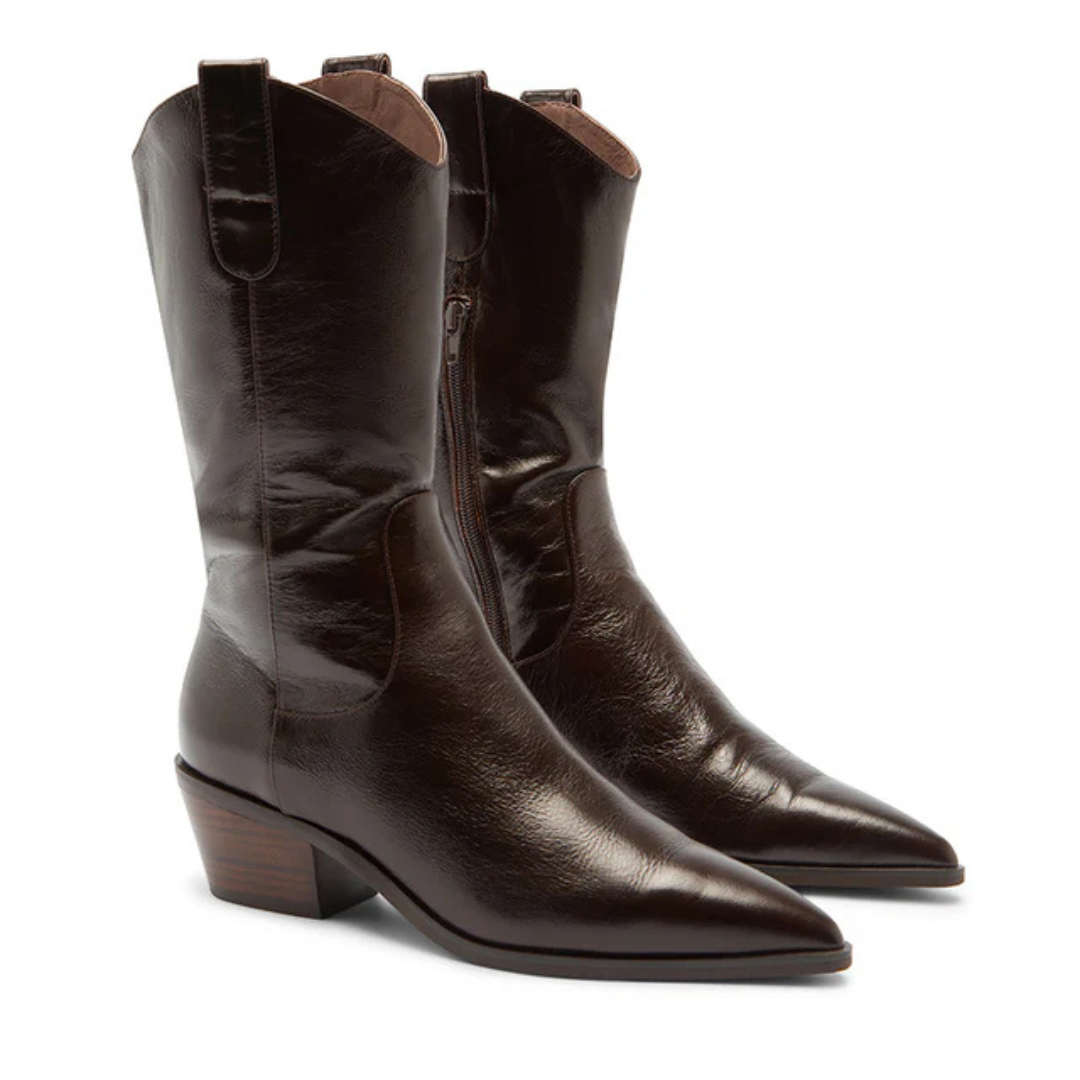 Botas de Couro Castanho com Biqueira Pontiaguda e Salto Baixo de Madeira